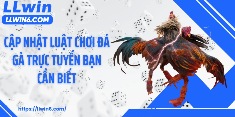 Cập nhật luật chơi đá gà trực tuyến bạn cần biết