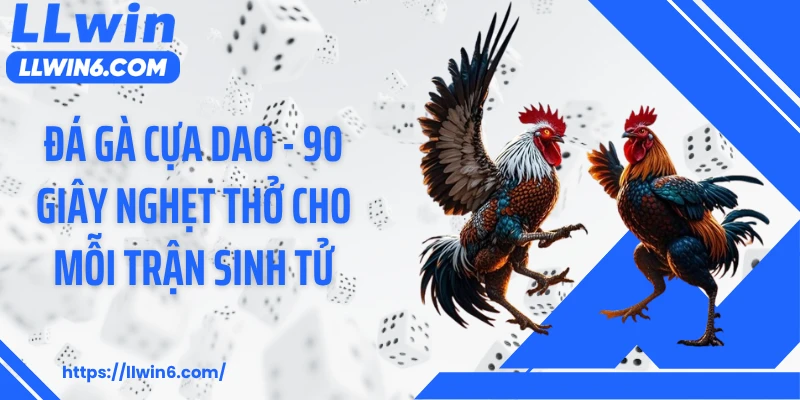 Đá Gà Cựa Dao - 90 Giây Nghẹt Thở Cho Mỗi Trận Sinh Tử