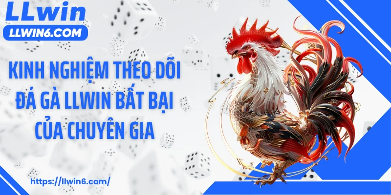 Kinh nghiệm theo dõi đá gà LLWIN bất bại của chuyên gia