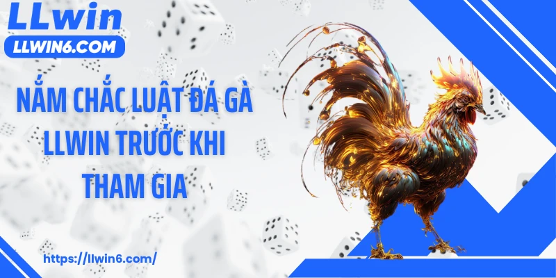 Nắm chắc luật đá gà LLWIN trước khi tham gia