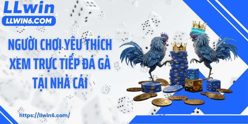 Người chơi yêu thích xem trực tiếp đá gà tại nhà cái