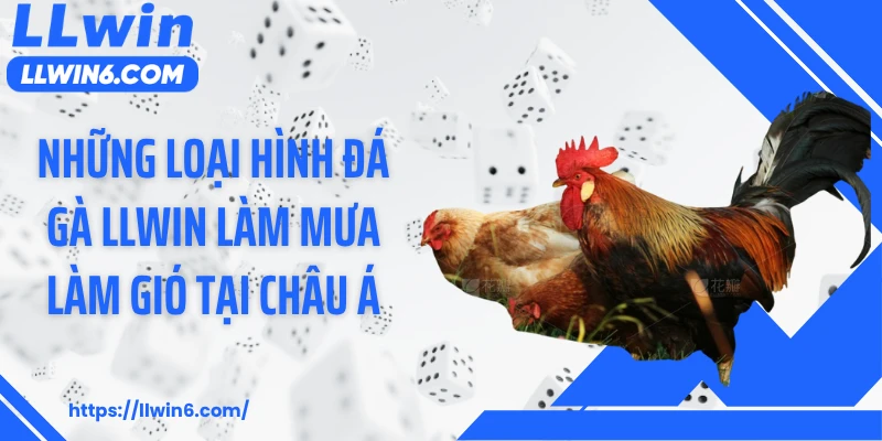 Những loại hình đá gà LLWIN làm mưa làm gió tại châu Á