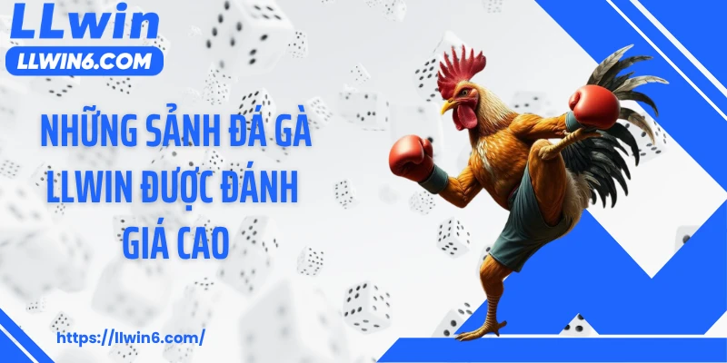 Những sảnh đá gà LLWIN được đánh giá cao