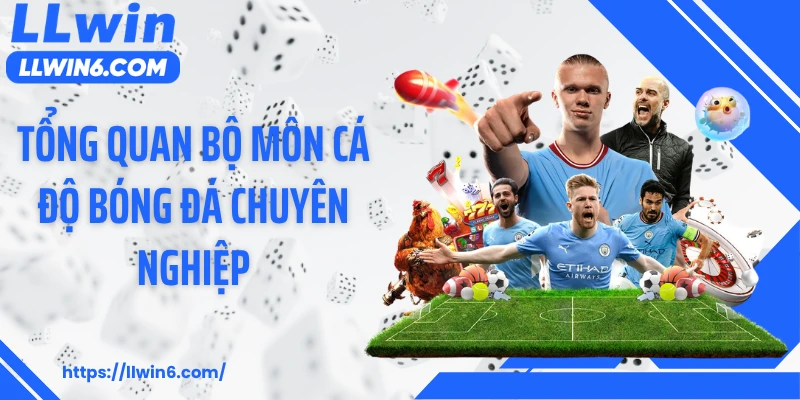 Tổng quan bộ môn cá độ bóng đá chuyên nghiệp
