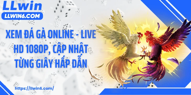 Xem Đá Gà Online - Live HD 1080p, Cập Nhật Từng Giây Hấp Dẫn